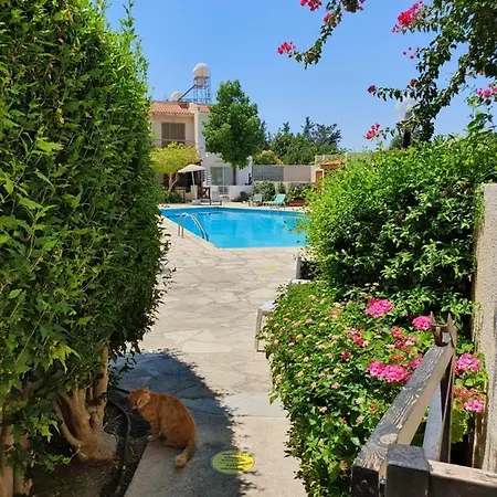 Cosea Living- Flat With Pool, Jasmine Gardens 206 Apartment *