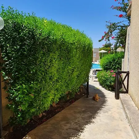 Apartment Cosea Living- Flat With Pool, Jasmine Gardens 206 Paphos